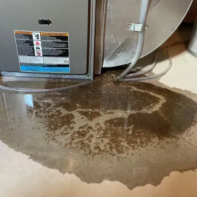 Appliance Leak Cleanup in North Aurora, IL